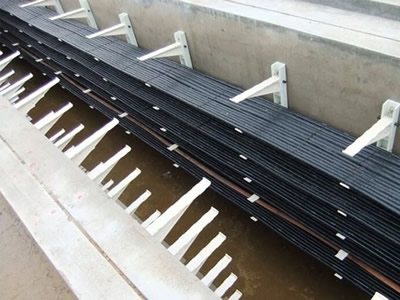 �l�T����